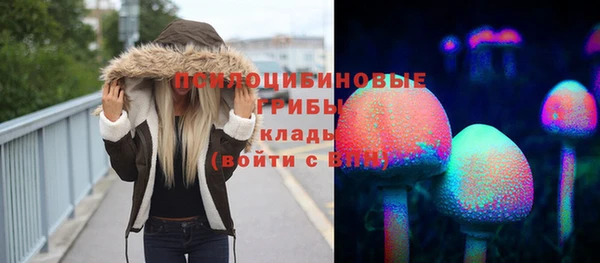 дмт Заволжск