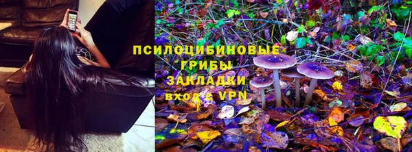 гашик Заволжье