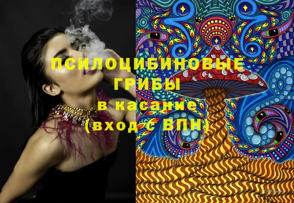 гашик Заволжье
