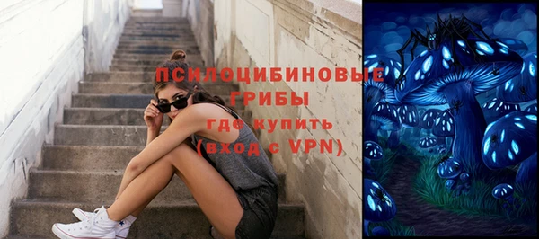 дмт Заволжск