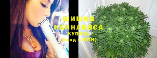 дмт Заволжск