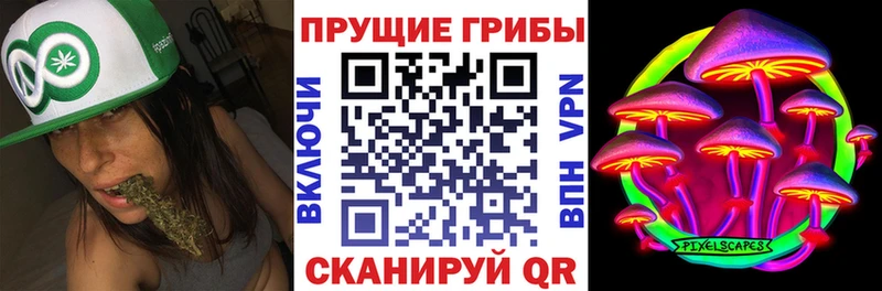 Галлюциногенные грибы Psilocybe  Купить закладки  Балабаново 